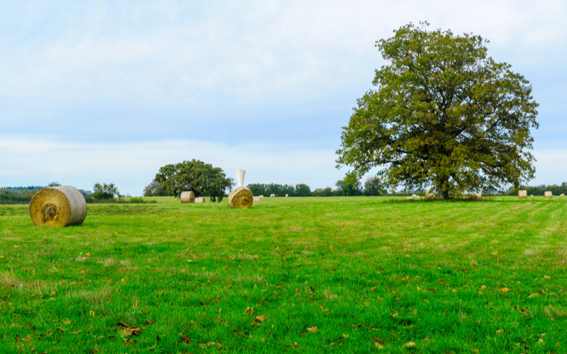 location de nacelle à Nièvre