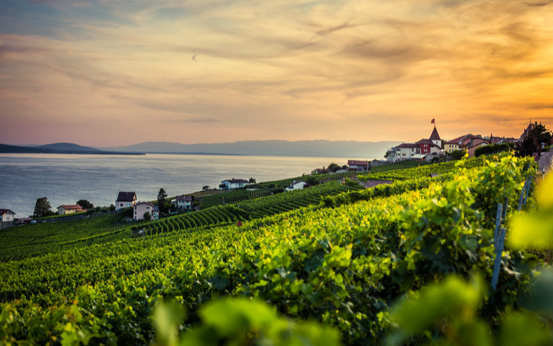 location de nacelles à Vaud