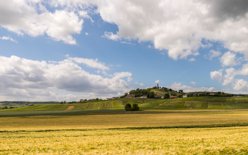 location de nacelles sur Champigny-sur-Marne